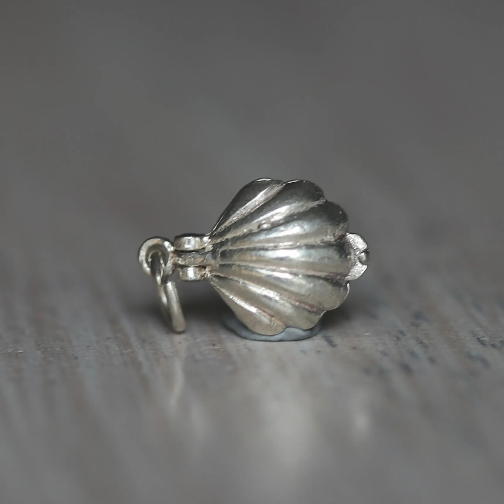 Silver Shell Charms