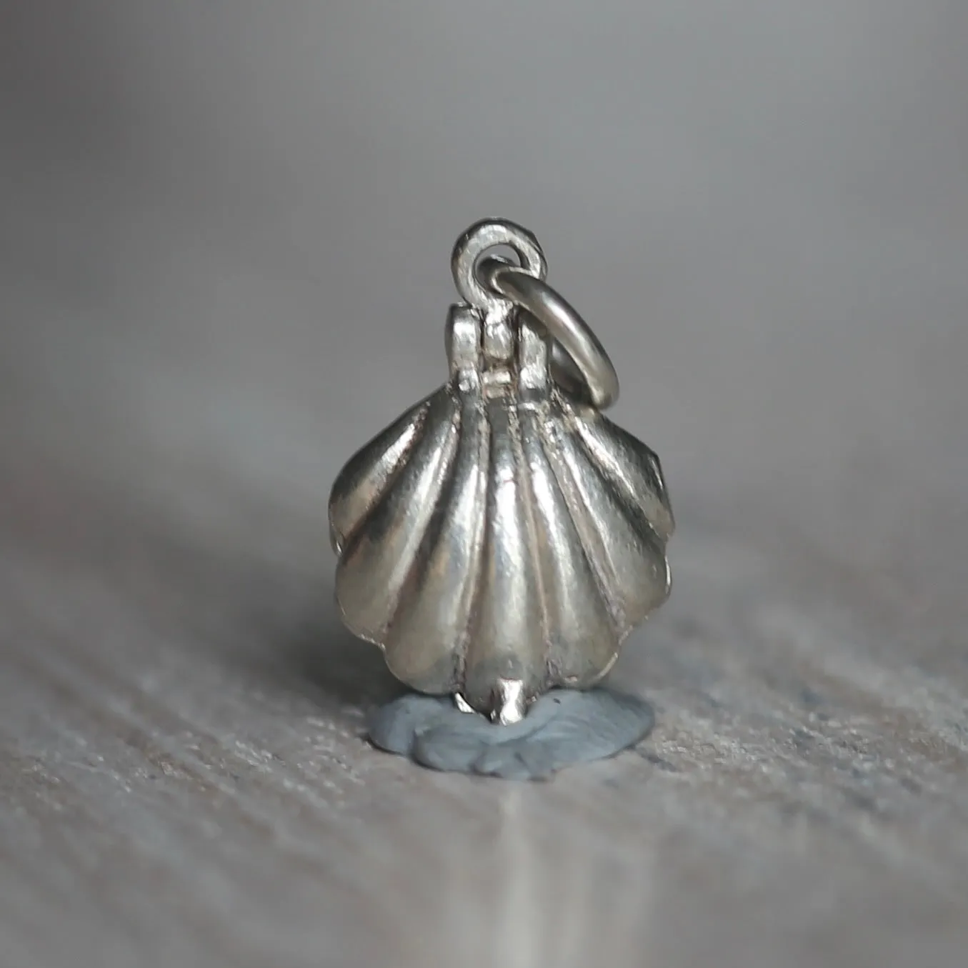 Silver Shell Charms