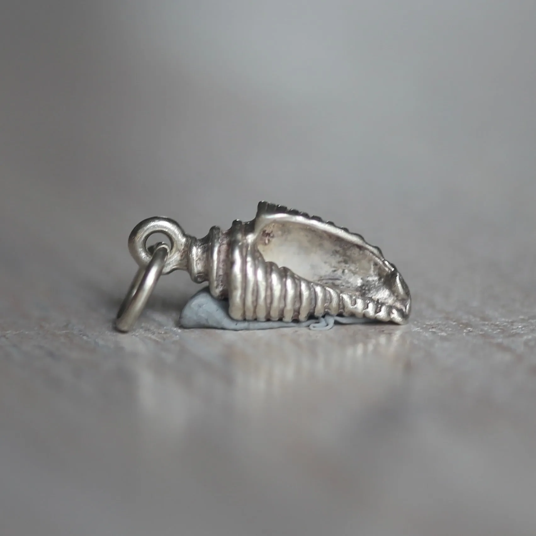 Silver Shell Charms