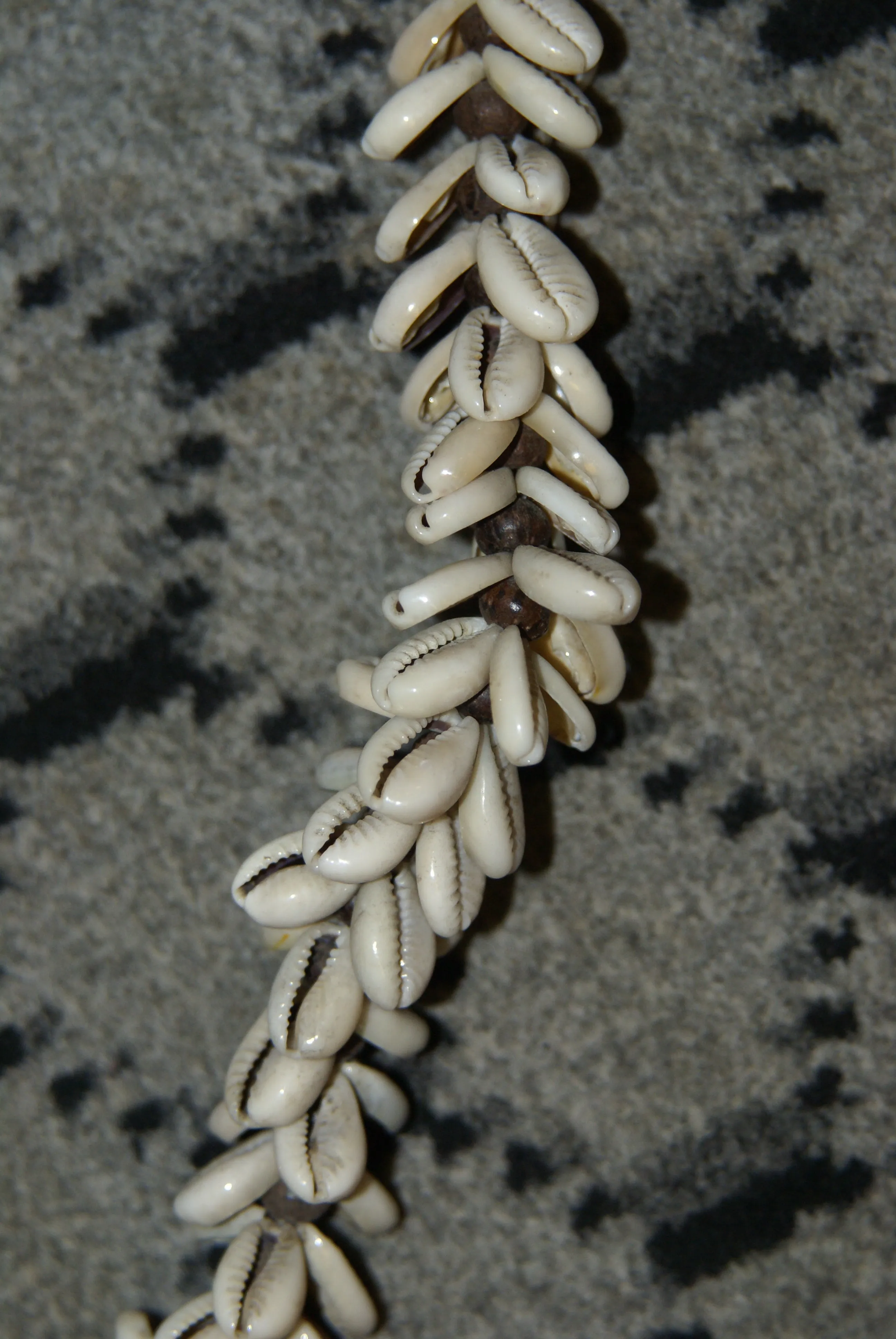 Unique Older Nassa Shells & Black Beads Necklace, Body Ornament and Currency, Trade Item,  Worn during Festivals, Initiations, Rites of passage or used for payments, bride price etc…  Highlands of Papua New Guinea. NECK46