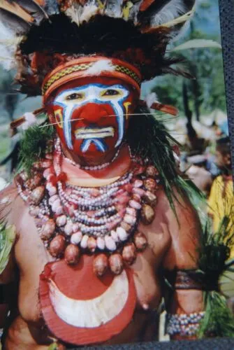 Unique Older Nassa Shells & Black Beads Necklace, Body Ornament and Currency, Trade Item,  Worn during Festivals, Initiations, Rites of passage or used for payments, bride price etc…  Highlands of Papua New Guinea. NECK46